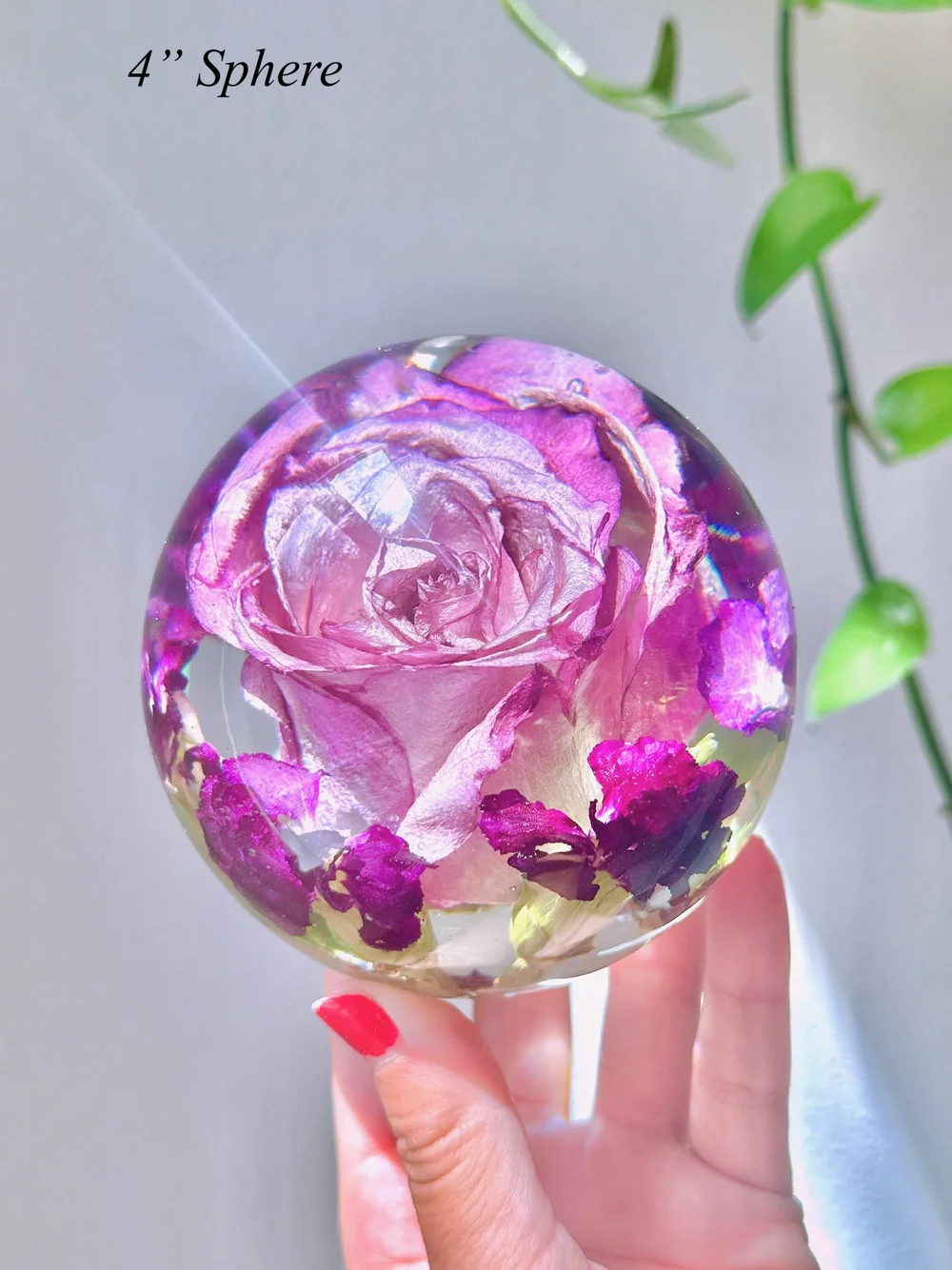 Preserved Rose Sphere | MarinaMakesArt — MarinaMakesArt - Modern